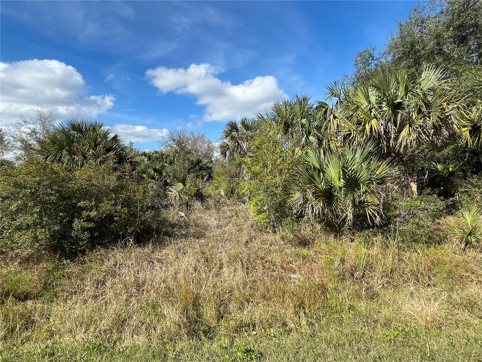 Details for 14667 294th Street, OKEECHOBEE, FL 34972