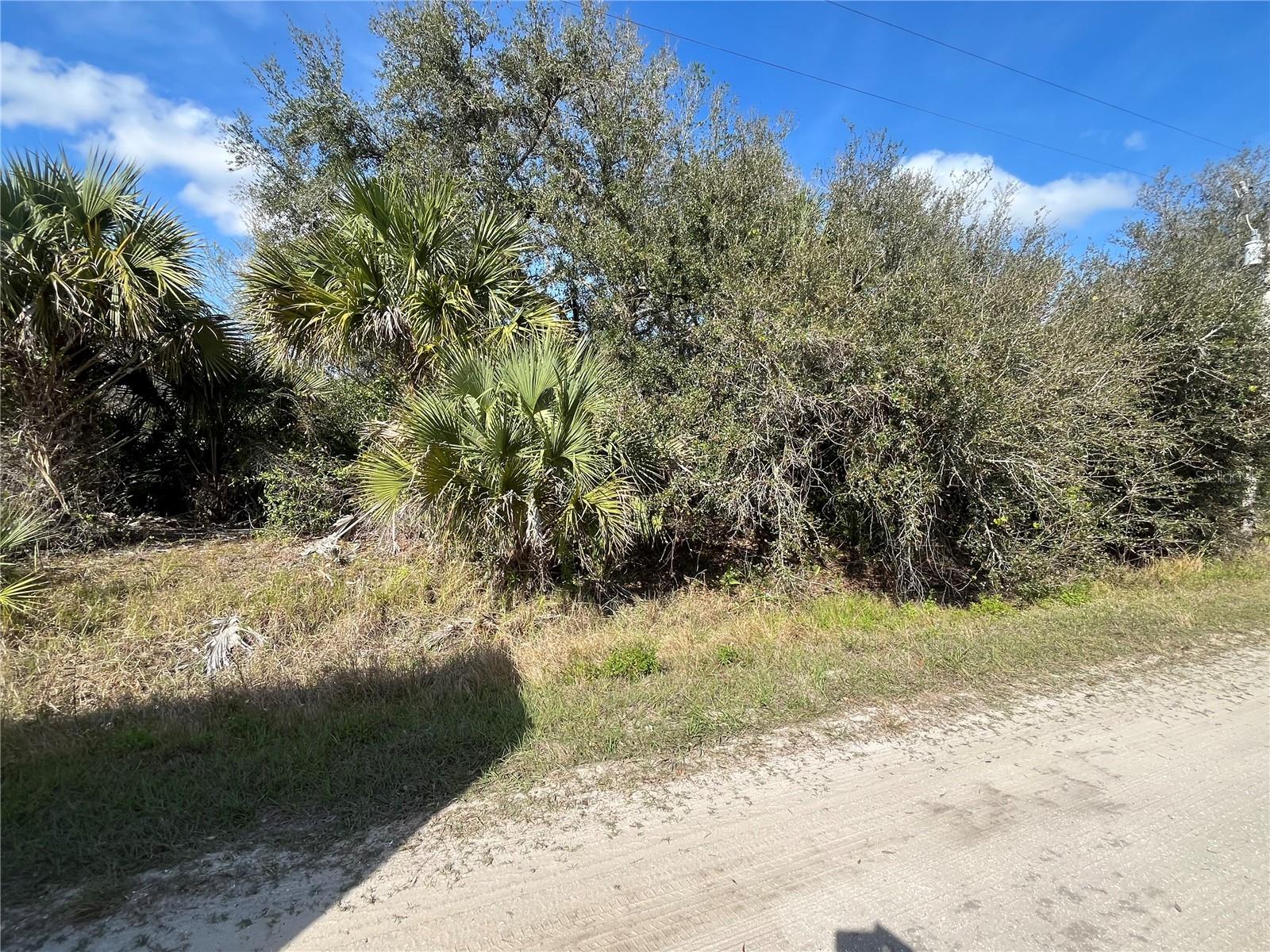 Image 8 of 8 For 14667 294th Street