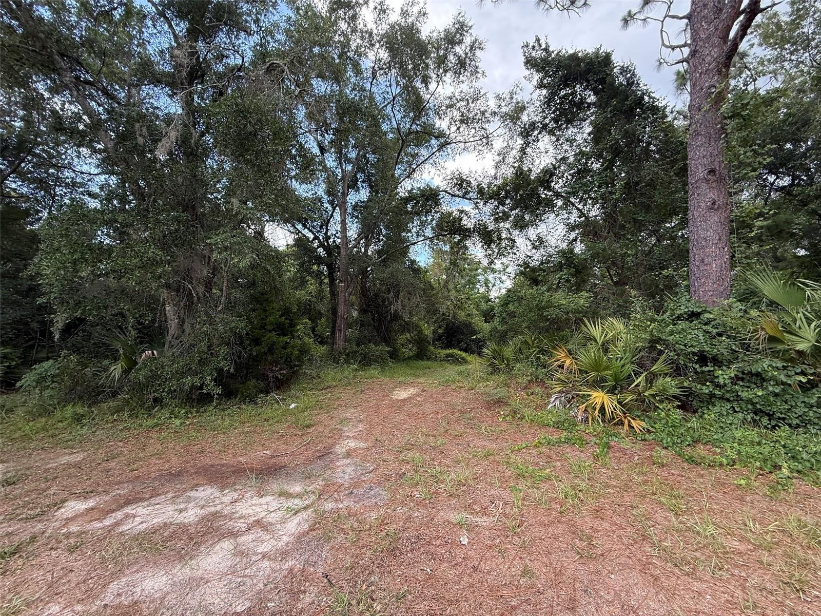 Image 10 of 13 For 7647 Springtime Lane 32