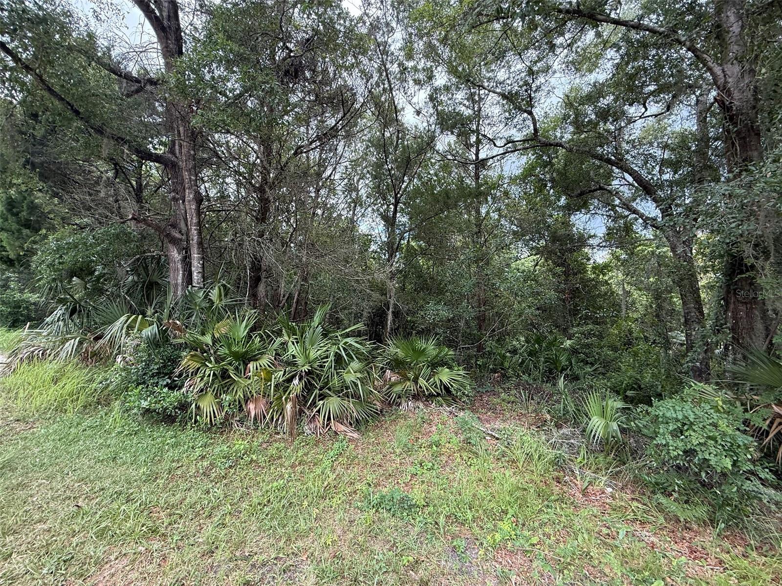 Image 6 of 13 For 7647 Springtime Lane 32