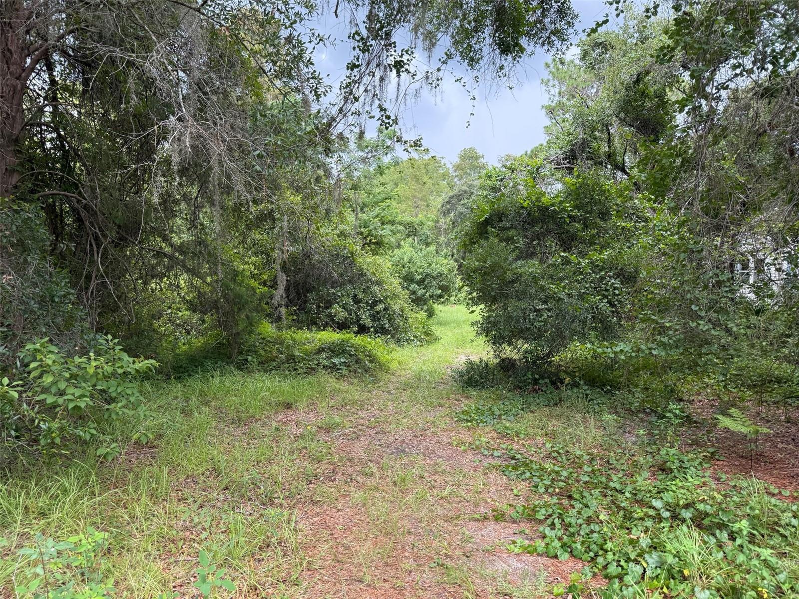 Image 7 of 13 For 7647 Springtime Lane 32