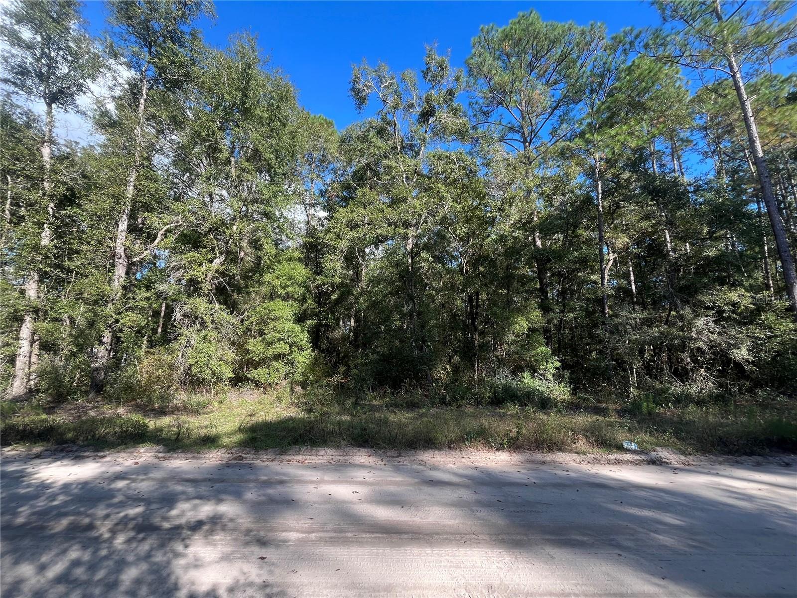 Details for Rutland Road, CRAWFORDVILLE, FL 32327