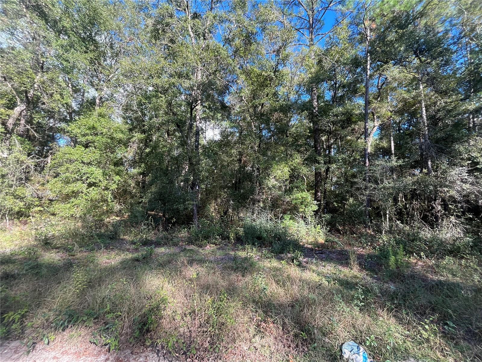 Image 3 of 9 For Rutland Road