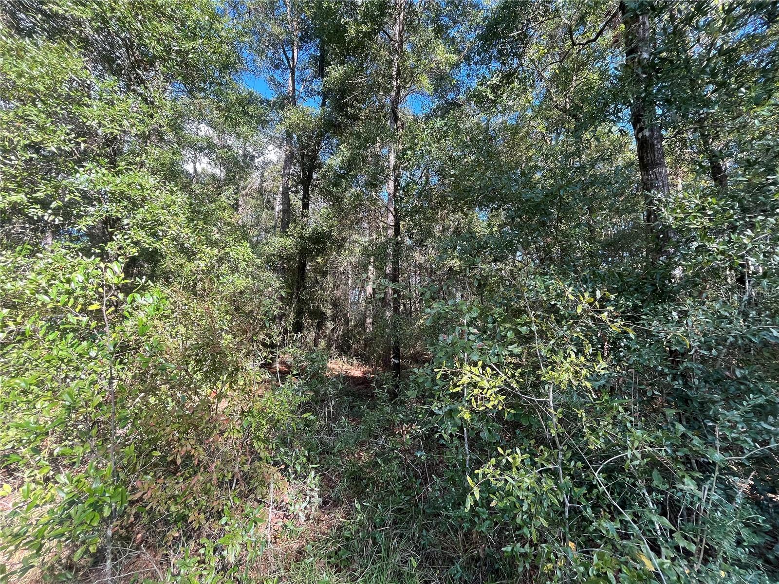 Image 6 of 9 For Rutland Road