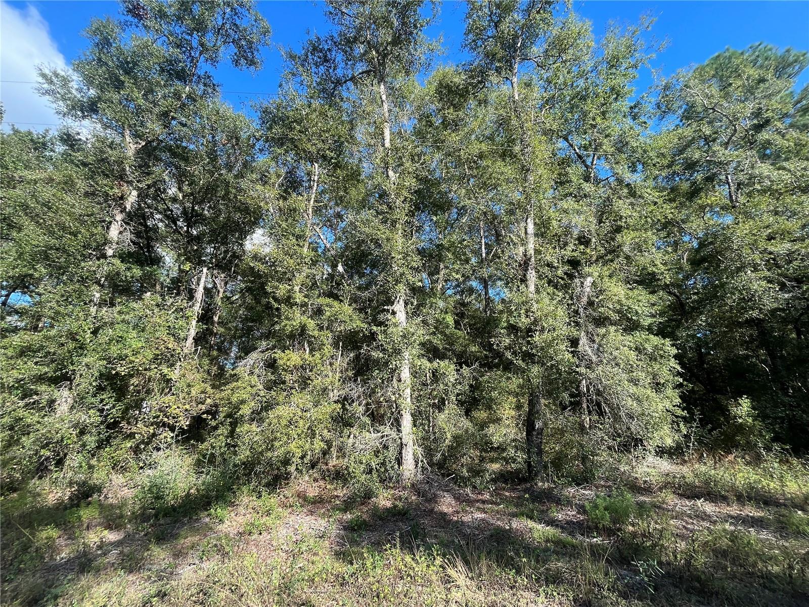 Image 8 of 9 For Rutland Road