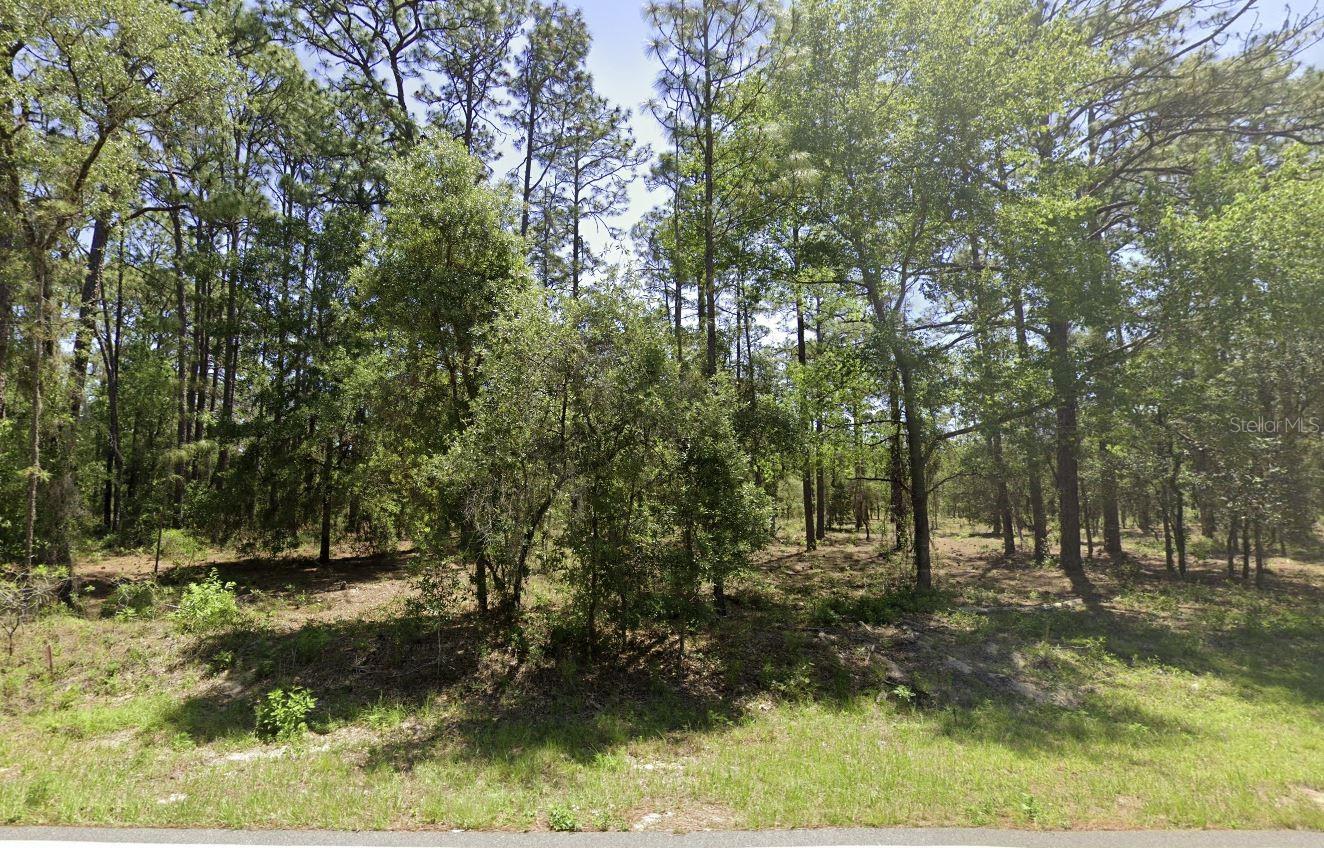 Details for Ridgewood Road, DUNNELLON, FL 34431