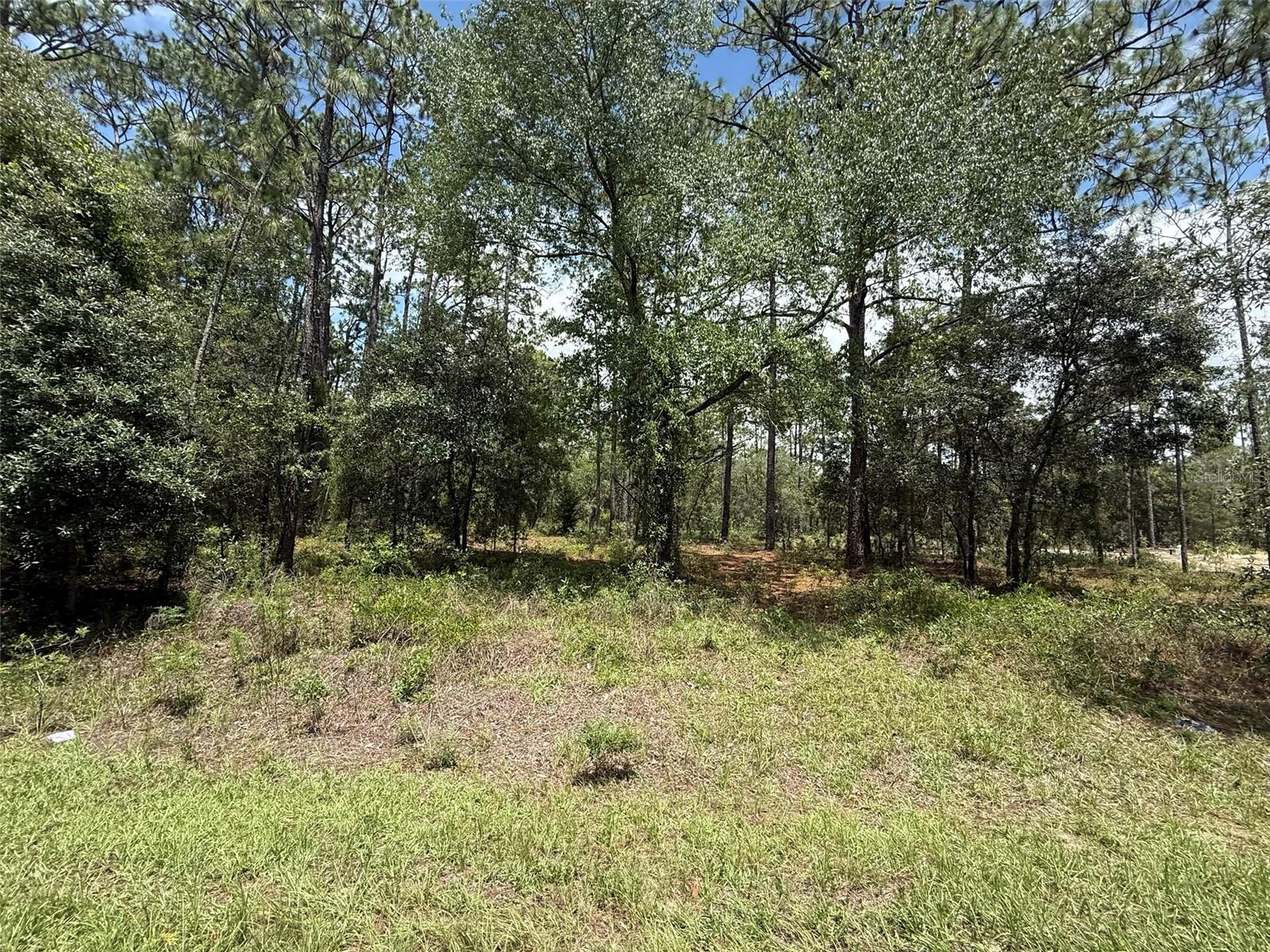 Image 9 of 10 For Ridgewood Road