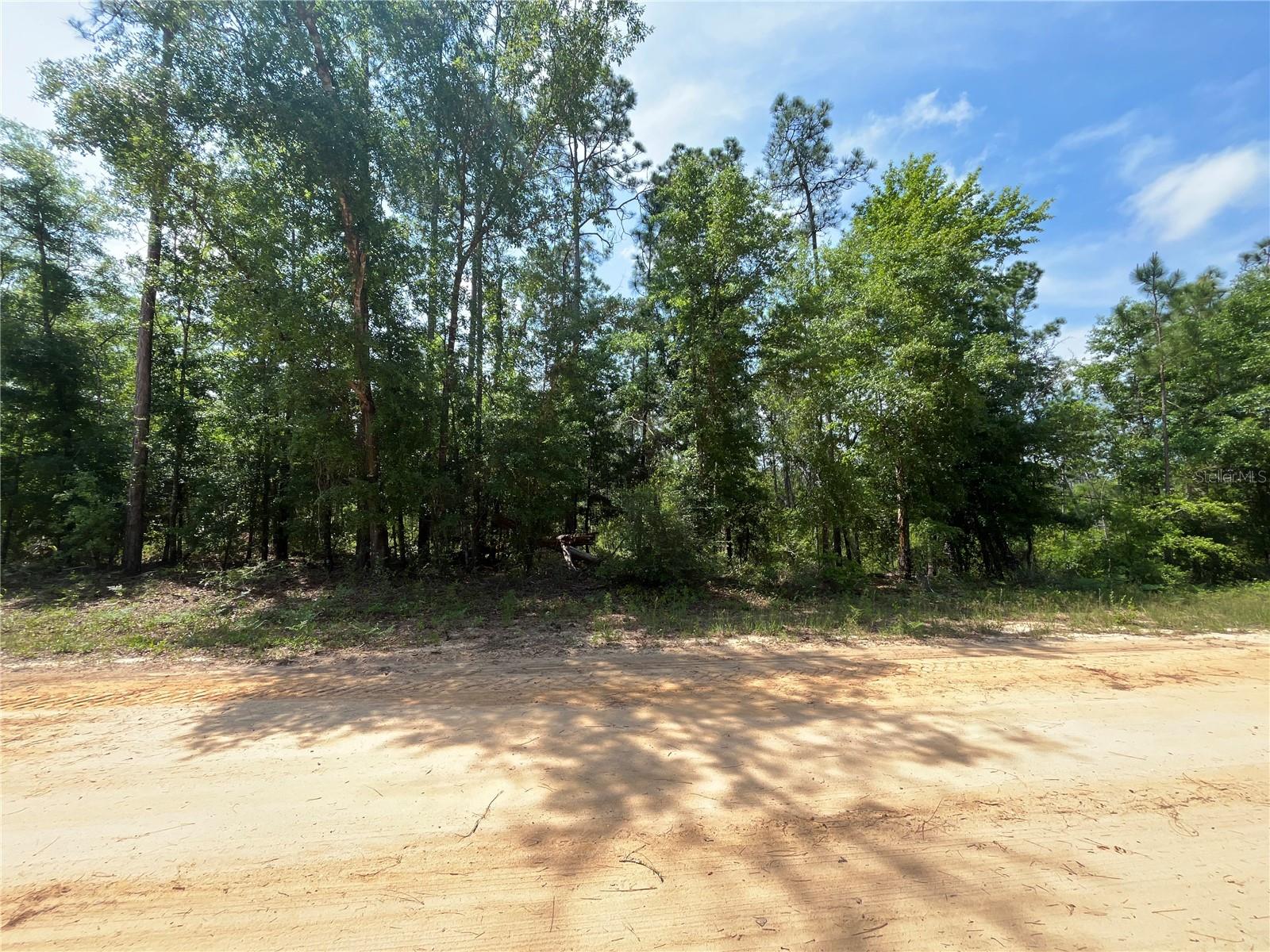 Image 10 of 18 For Holly Springs Avenue