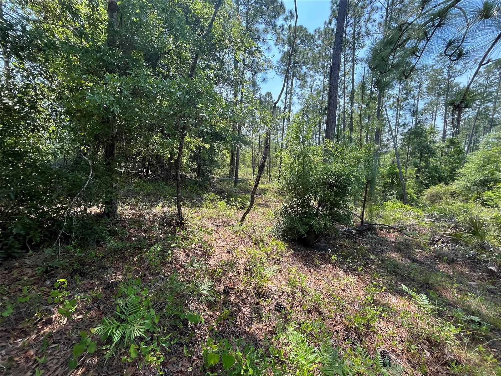 Image 12 of 18 For Holly Springs Avenue