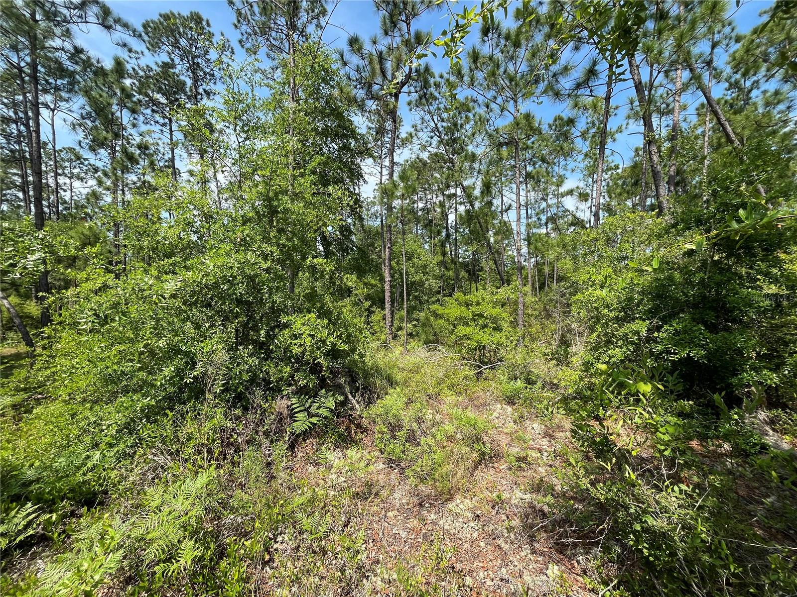 Image 3 of 18 For Holly Springs Avenue