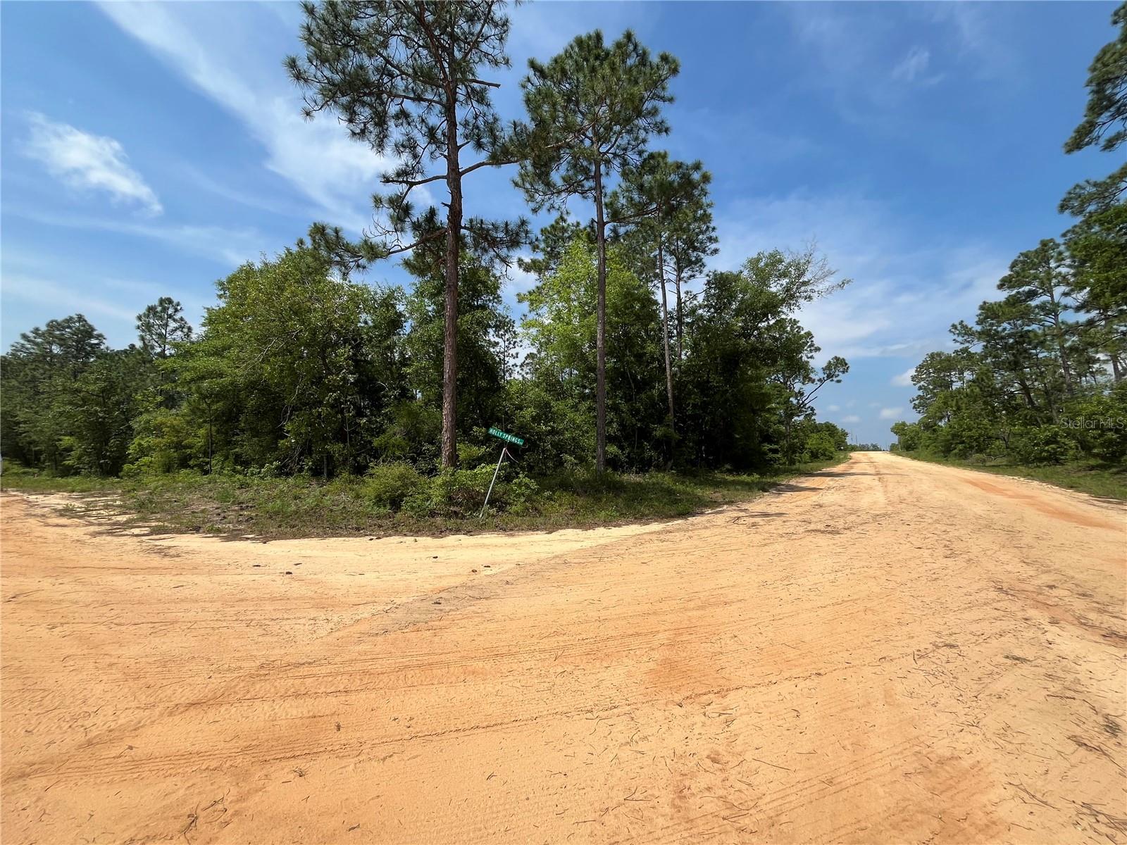 Image 6 of 18 For Holly Springs Avenue