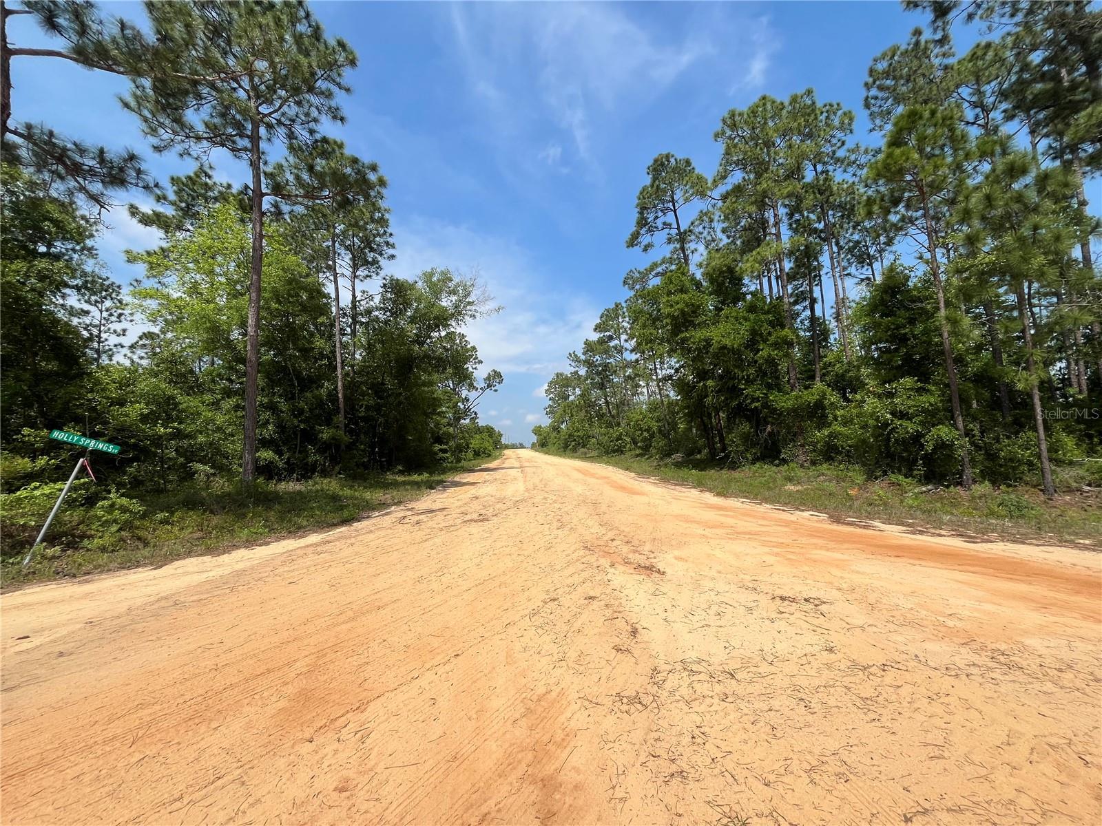 Image 7 of 18 For Holly Springs Avenue