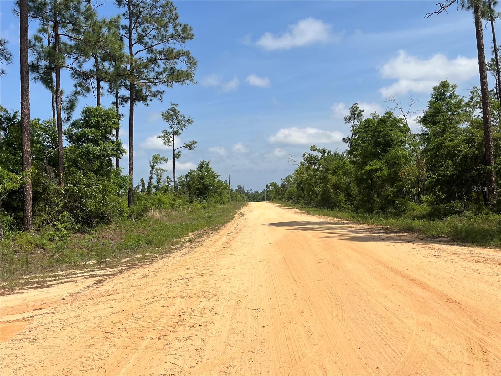 Image 8 of 18 For Holly Springs Avenue
