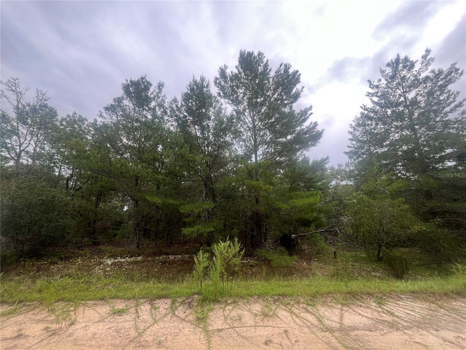 Details for 206 Wales Street, INTERLACHEN, FL 32148