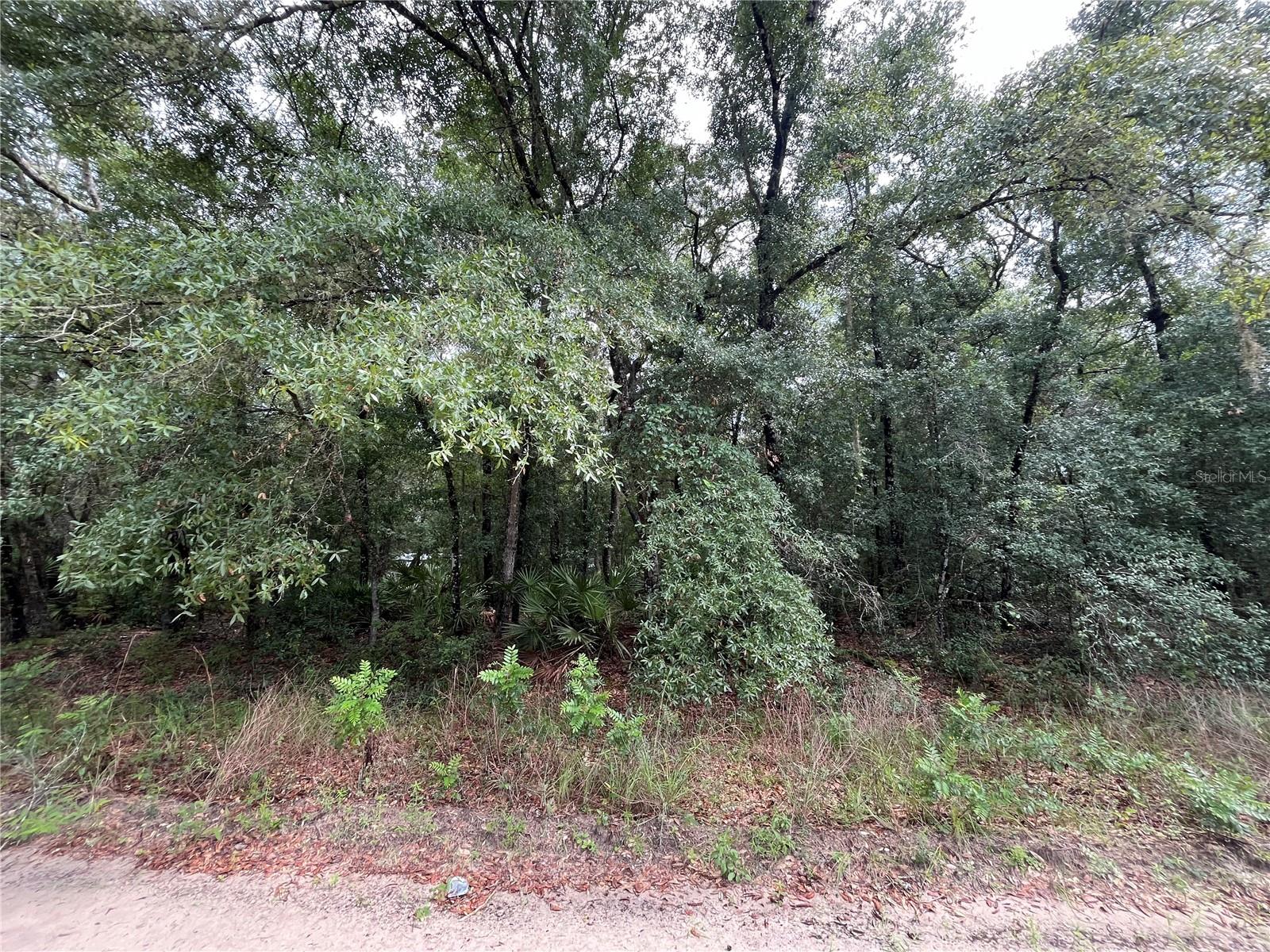 Image 6 of 7 For Tbd Rintz Street