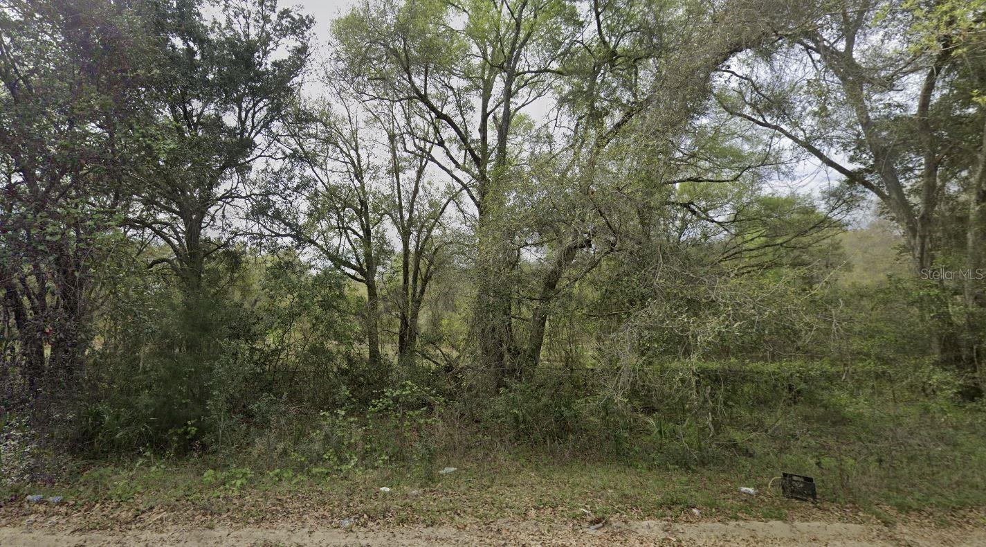 Details for 305 Milton Avenue, INTERLACHEN, FL 32148