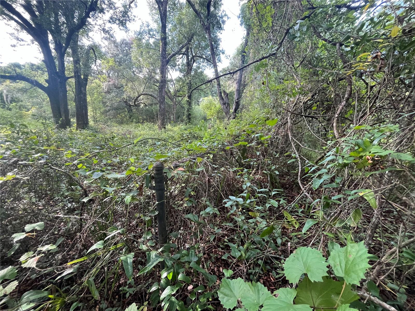 Image 3 of 8 For 305 Milton Avenue