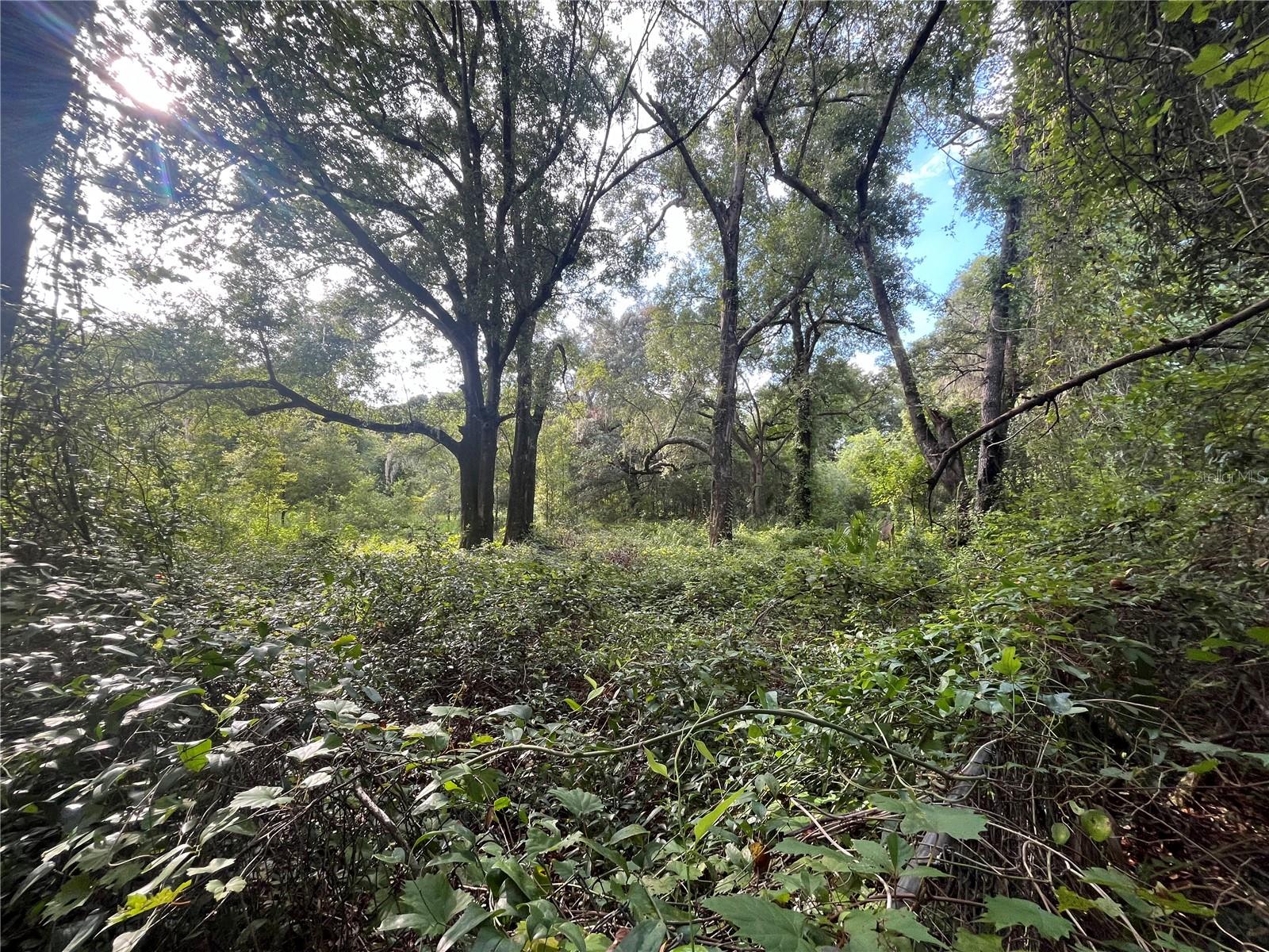 Image 4 of 8 For 305 Milton Avenue