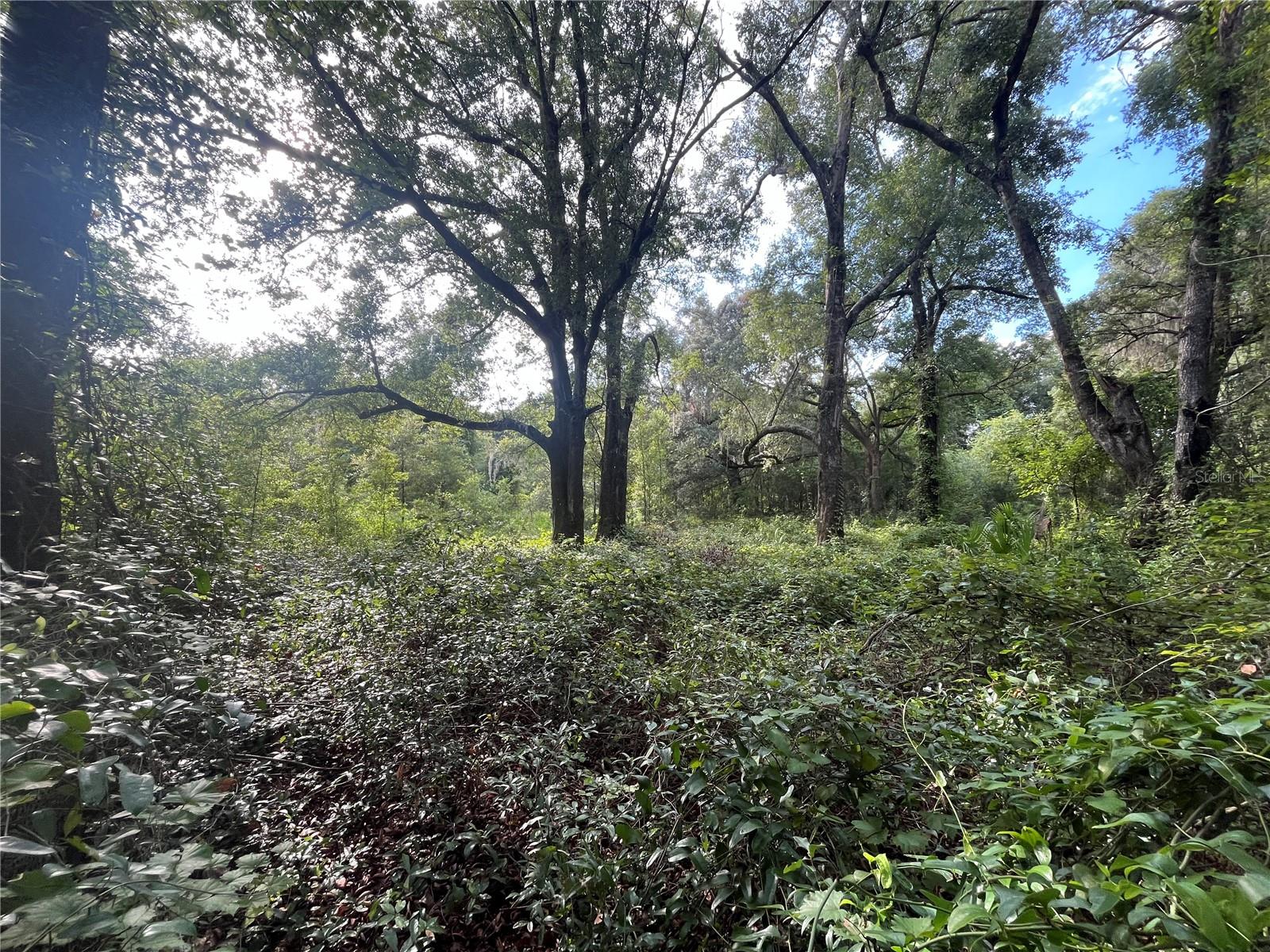 Image 5 of 8 For 305 Milton Avenue