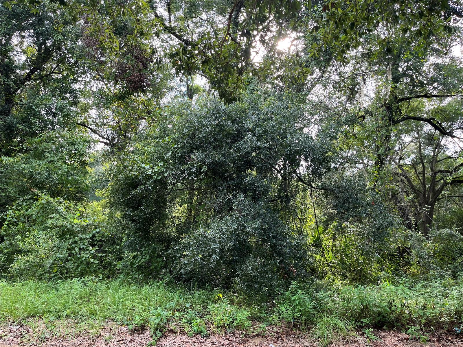 Image 7 of 8 For 305 Milton Avenue