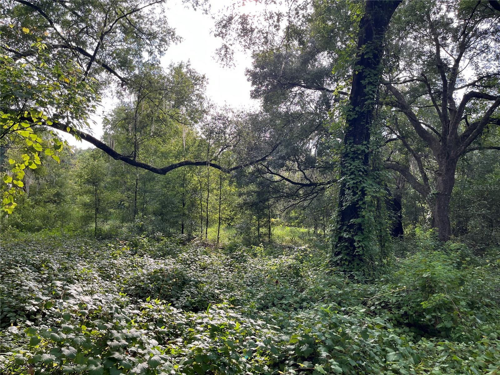 Image 8 of 8 For 305 Milton Avenue