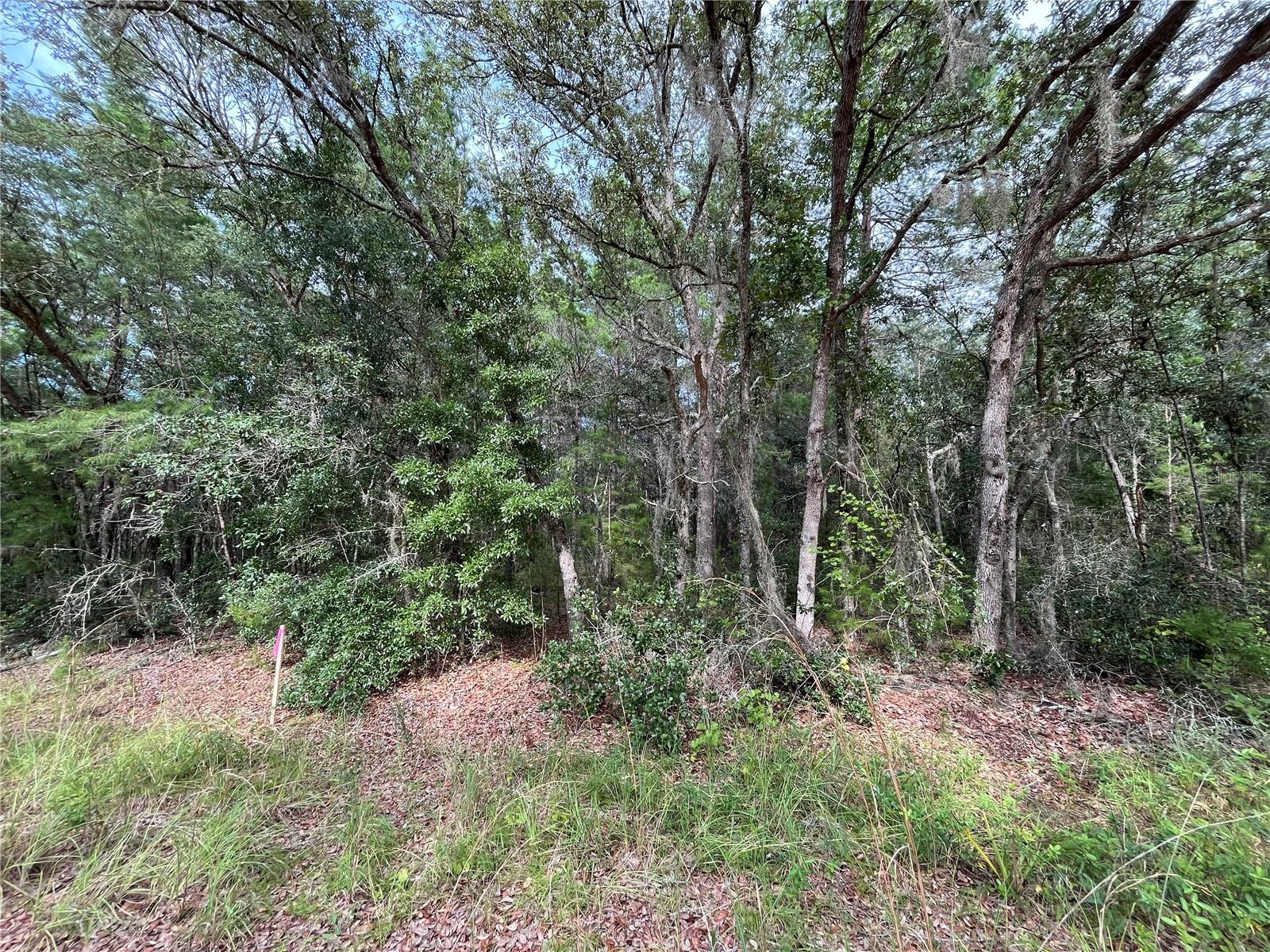 Image 6 of 8 For 304 Gloria Avenue