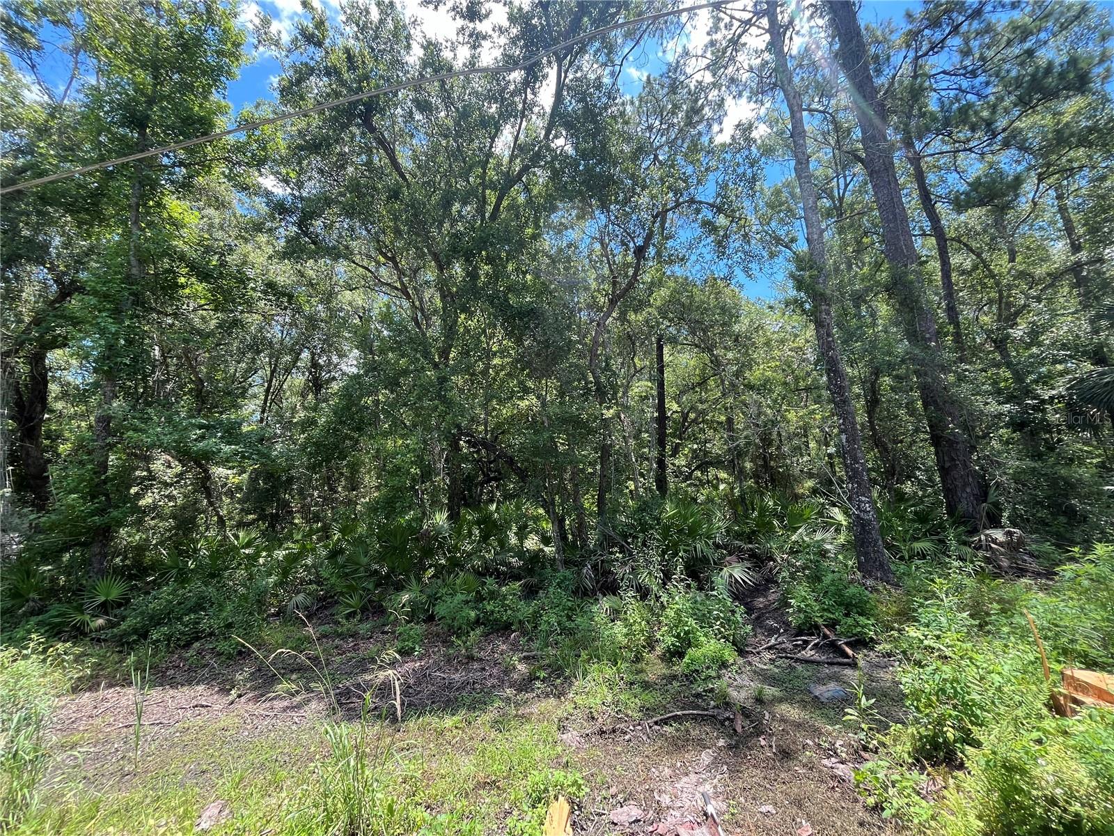 Image 4 of 9 For Franklin Drive