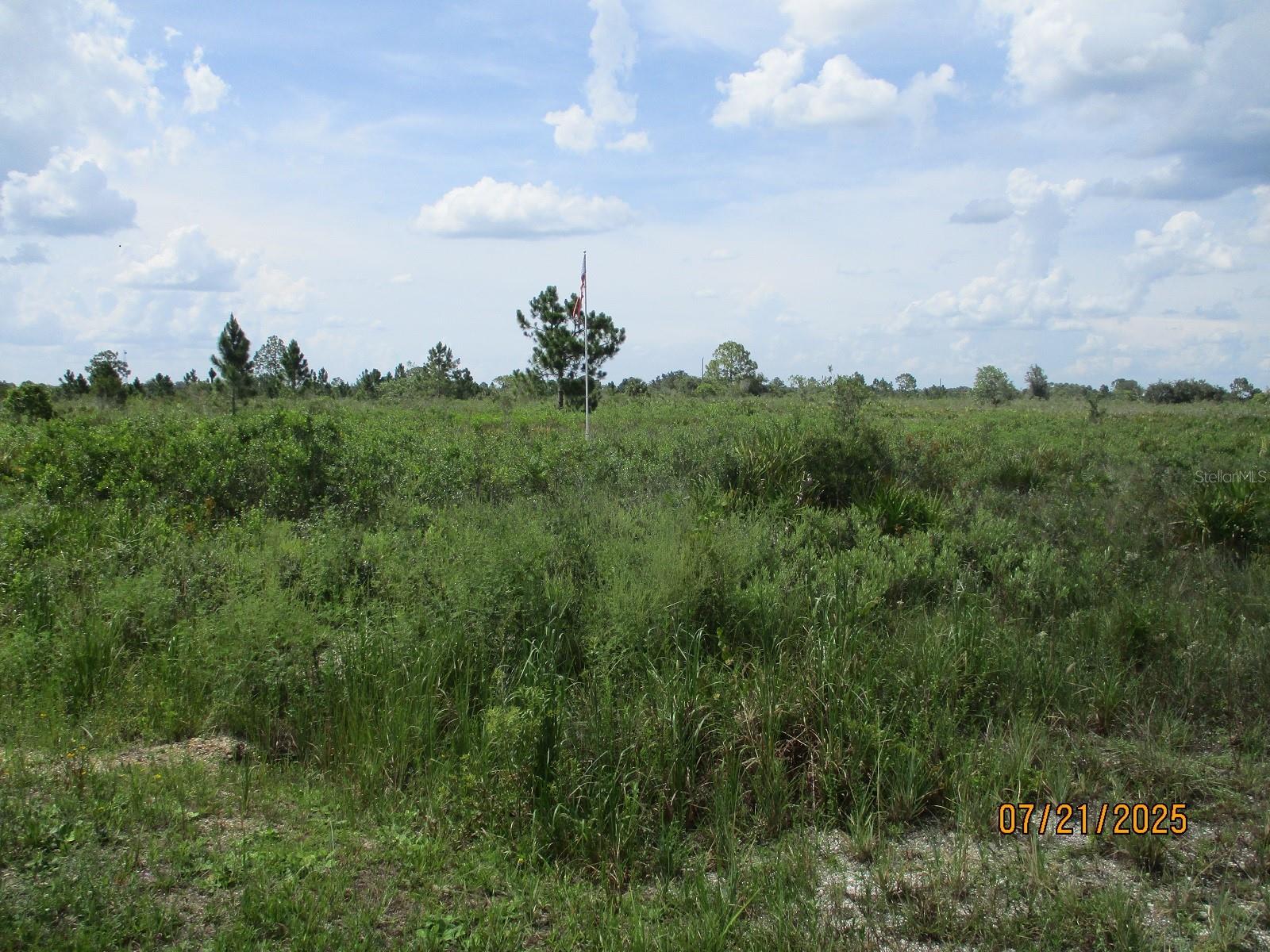 Image 10 of 10 For 17771 302nd Street