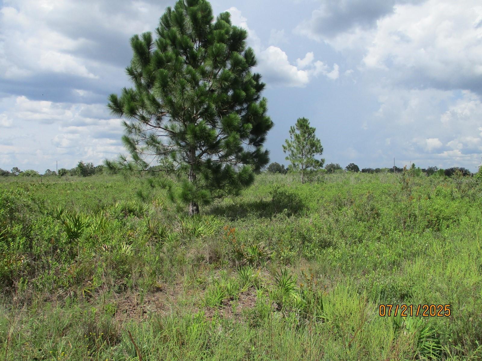 Image 8 of 10 For 17771 302nd Street