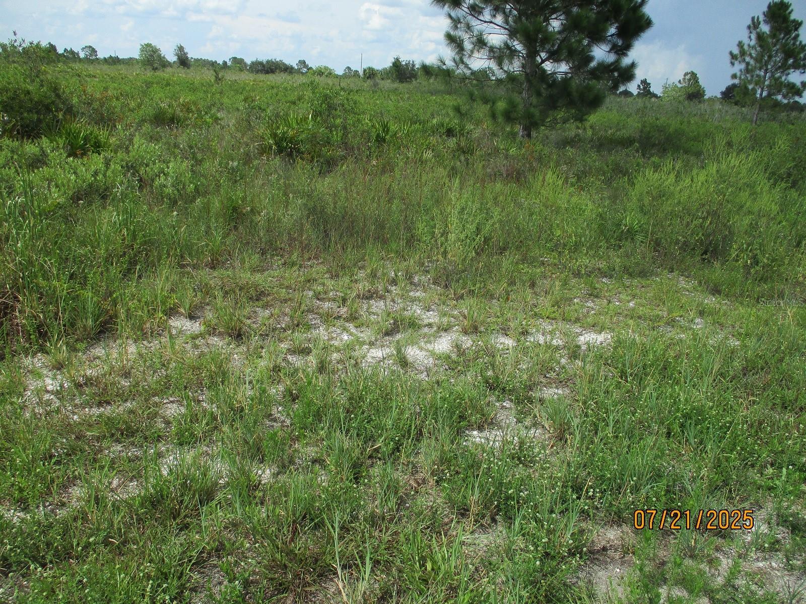 Image 9 of 10 For 17771 302nd Street