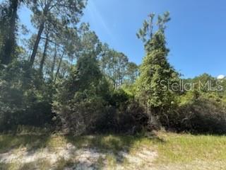 Details for 337 Palm Way, GEORGETOWN, FL 32139