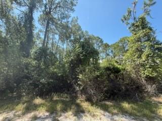 Image 4 of 8 For 337 Palm Way