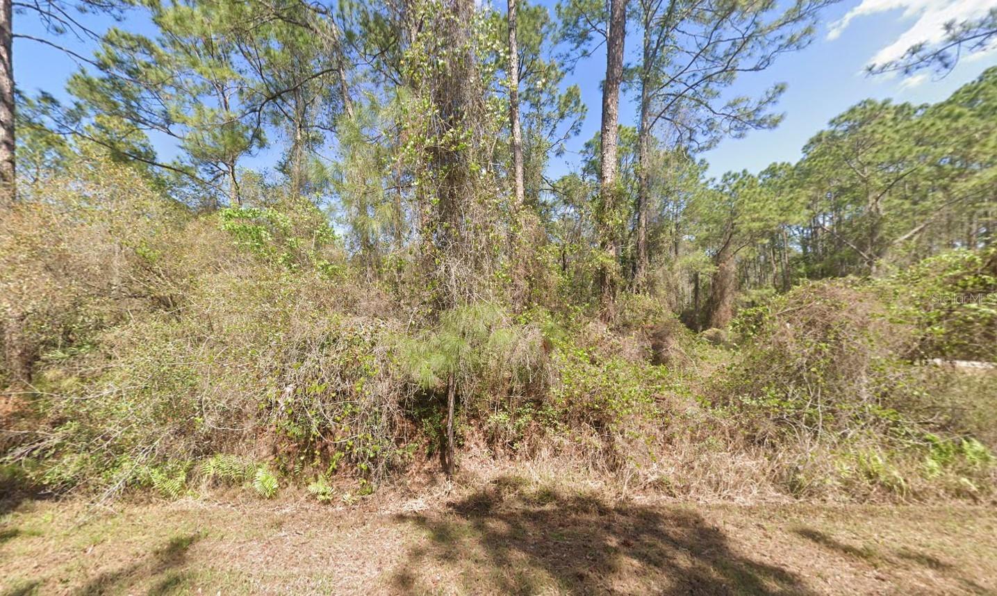 Image 6 of 8 For 337 Palm Way