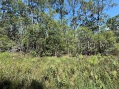 Details for 210 2nd Street, GEORGETOWN, FL 32139