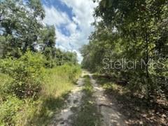 Details for 313 Calhoun Avenue, FLORAHOME, FL 32140