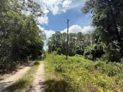 Image 2 of 7 For 313 Calhoun Avenue