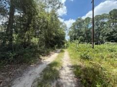 Image 3 of 7 For 313 Calhoun Avenue