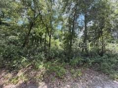 Image 4 of 7 For 313 Calhoun Avenue