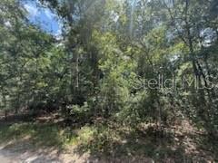 Image 5 of 7 For 313 Calhoun Avenue