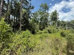 Image 6 of 7 For 313 Calhoun Avenue