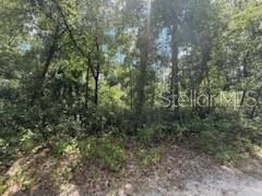 Image 7 of 7 For 313 Calhoun Avenue