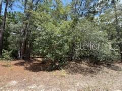 Details for 109 Pinellas Street, FLORAHOME, FL 32140