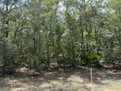 Image 2 of 8 For 109 Pinellas Street