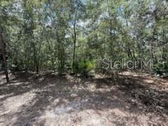 Image 3 of 8 For 109 Pinellas Street