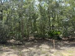 Image 4 of 8 For 109 Pinellas Street