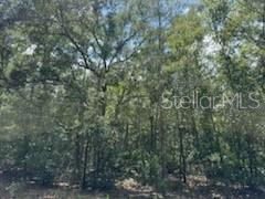 Image 5 of 8 For 109 Pinellas Street