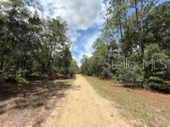 Image 6 of 8 For 109 Pinellas Street