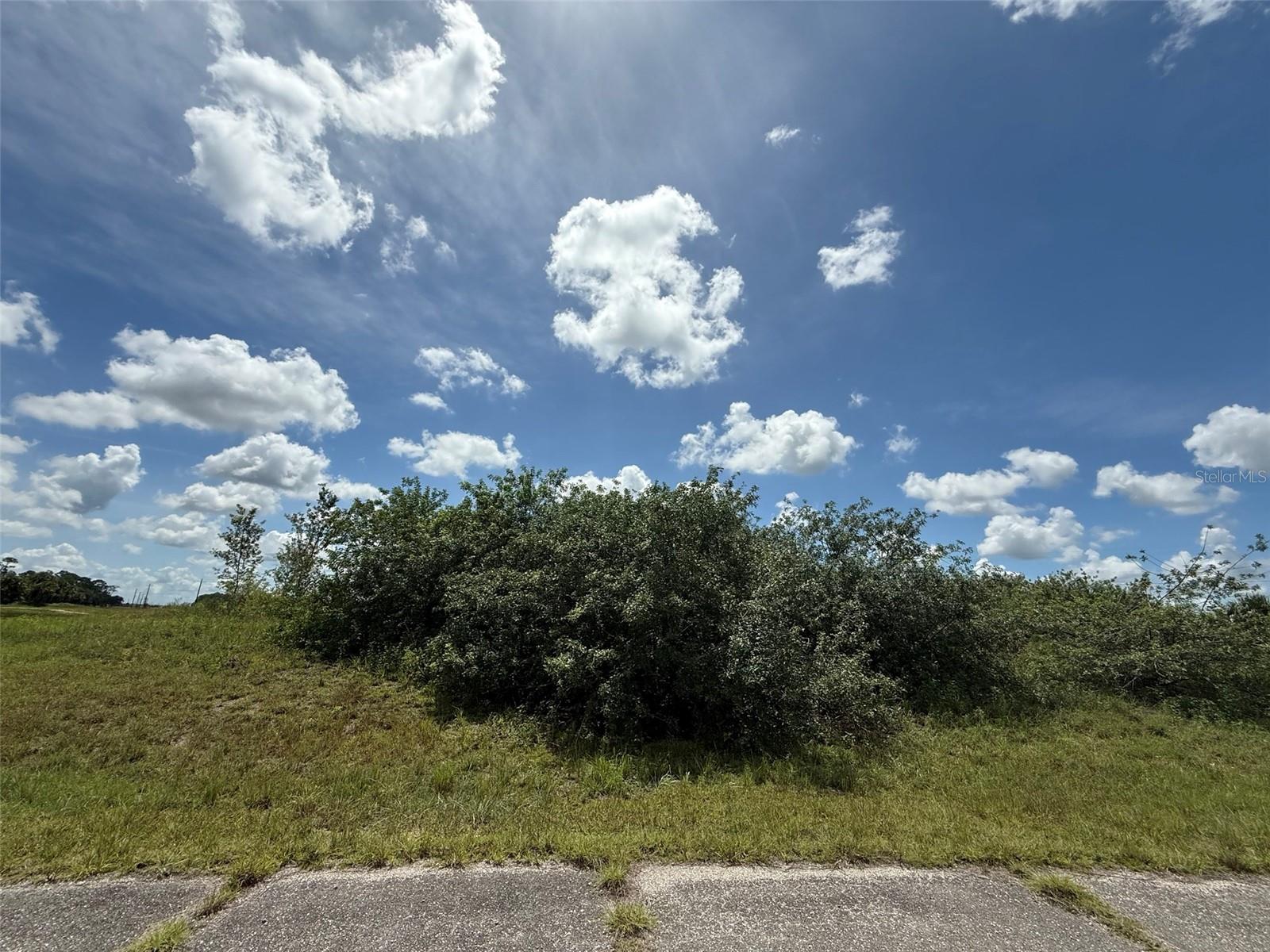 Image 2 of 8 For 113 Liberty Terrace