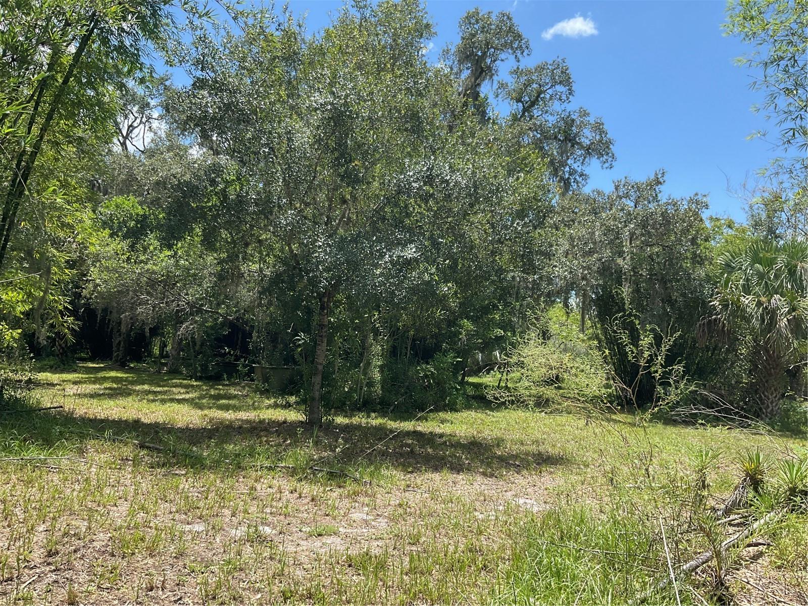 Image 45 of 48 For 1715 308th Street