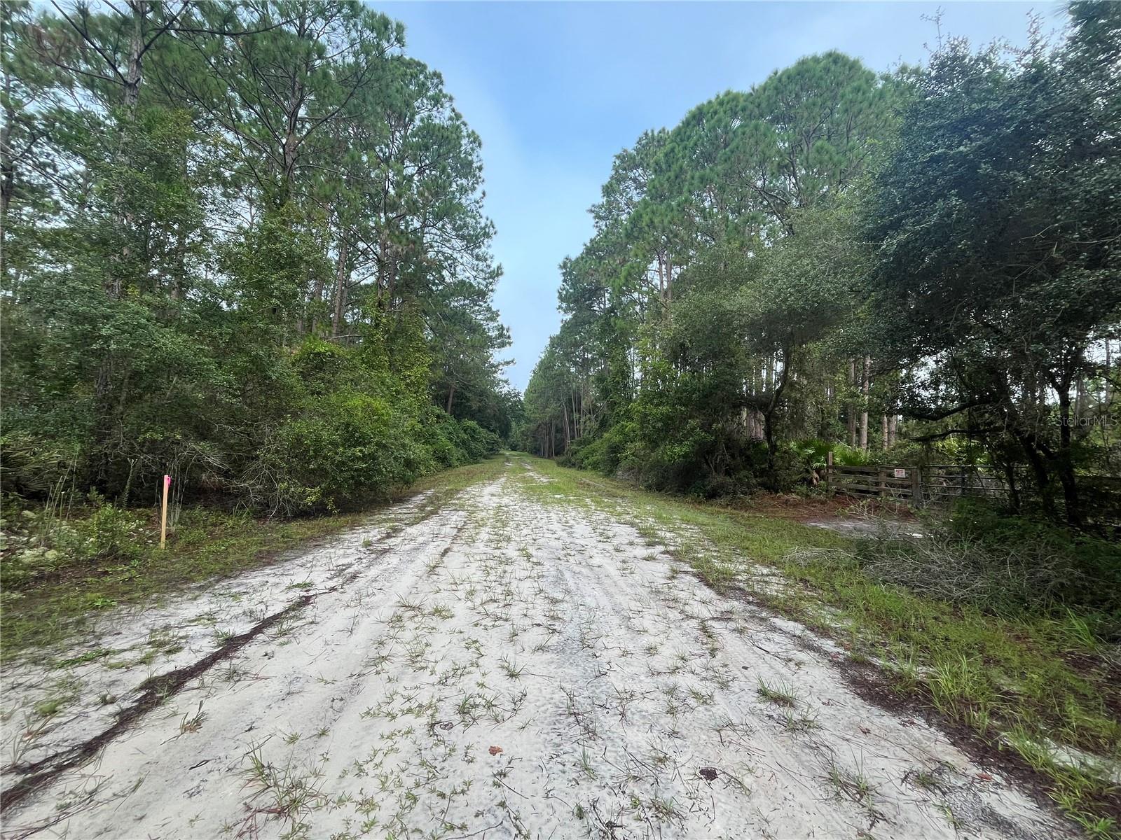 Image 3 of 8 For 119 Gardenia Avenue